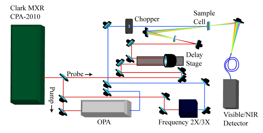 femtosecond transient absorption spectrometer schematic